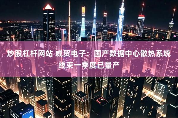 炒股杠杆网站 威贸电子：国产数据中心散热系统线束一季度已量产