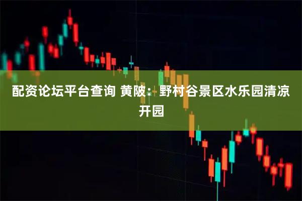 配资论坛平台查询 黄陂：野村谷景区水乐园清凉开园