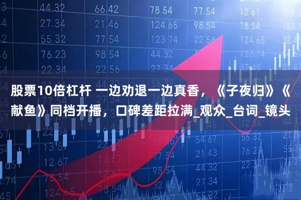 股票10倍杠杆 一边劝退一边真香，《子夜归》《献鱼》同档开播，口碑差距拉满_观众_台词_镜头